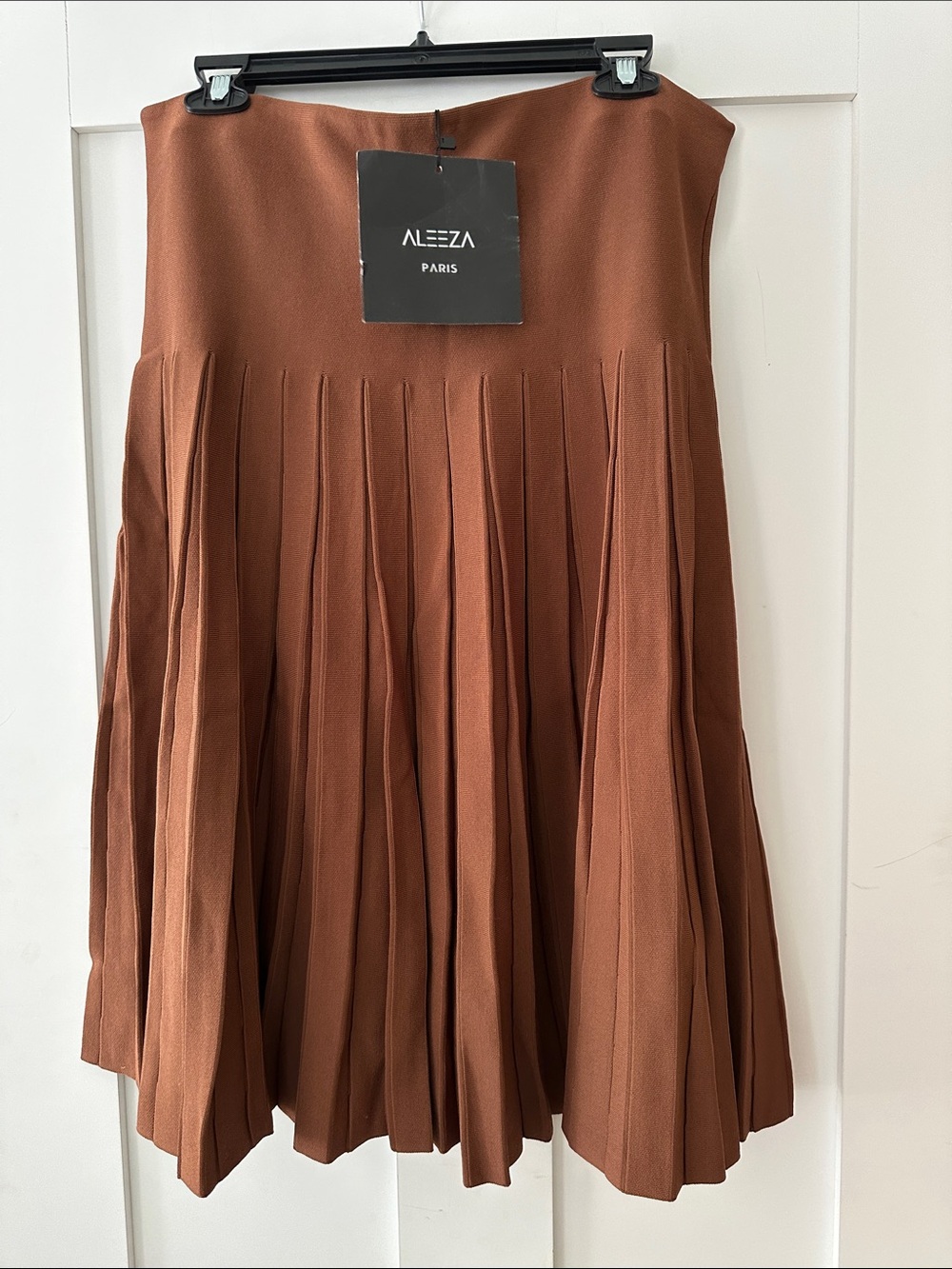 Aleeza Paris Pleated A-Line Skirt — Rust 08
